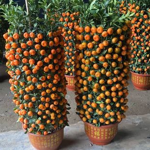 ��ۘ����Ԏ������������Ә�����辰�ļ����҃��̨�ļ��_���Y��