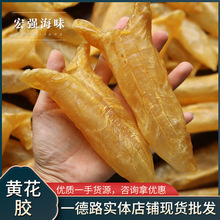 黄花胶 优选深海鱼肚鱼胶正品海味干货现货批发