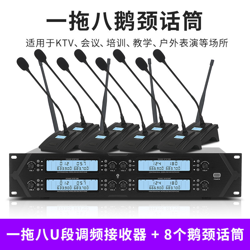 Micrófono inalámbrico TMD/Tengmandi de doble canal FM U-band Bluetooth para cantar, conferencias, KTV, verdadera diversidad