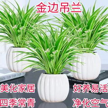 ��߅���m�����҃���������ֲ������՚��ļ����B�͏d