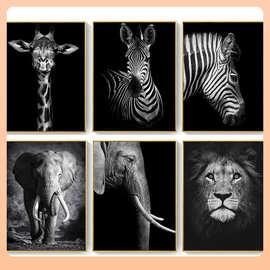 ✅黑白帆布画动物墙壁艺术狮子鹿斑马海报墙壁图片装饰画
