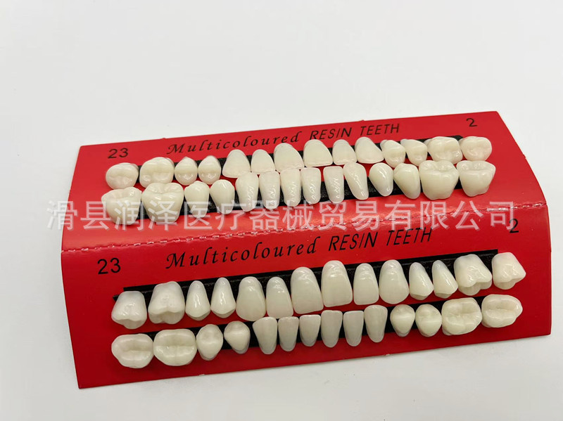 牙科口腔学生练习全口牙齿教学磨具牙模型28颗一口磨具塑料练习牙|undefined