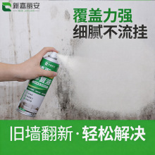 补墙漆白色修复内墙自刷乳胶漆补墙膏墙面修补补墙翻新自喷漆家用