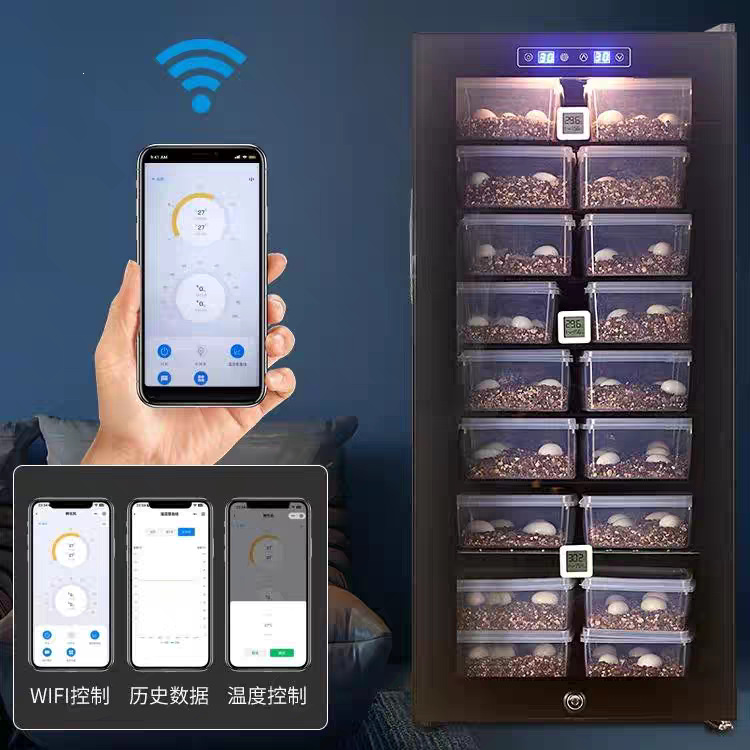 wiff孵化箱乌龟守宫鬃狮孵化机甲虫蚂蚁爬虫恒温箱蛇类冬化柜