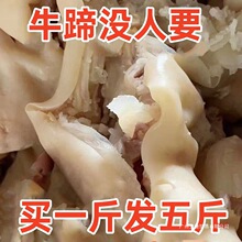 ţ��Ƥţ�_Ƥȥ�������u���uζ����˻��ţ������lţ���Ї����