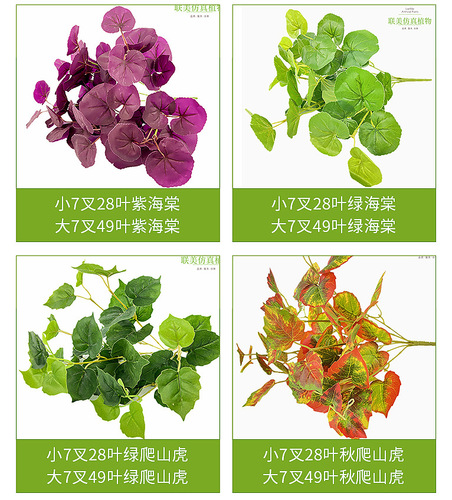 Flower potted plants, balcony ceiling, rattan green plants, indoor living room, desktop bonsai ornaments