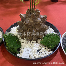 仿真龟甲龙植物盆栽软装高端轻奢假绿植造景室内摆件装饰落地摆件