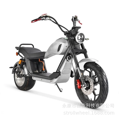 Best-Selling Overseas 2000W Balance – Elektrikli motosikletlər - silver-60v20ah