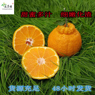 批发新鲜丑柑果园现摘丑桔丑八怪柑橘应季水果产地直发四川丑橘-阿里巴巴