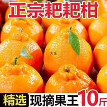 �Ĵ���Ҋ�ҰҸ̽����θ����ӽ��Ӯ������rˮ���Fժ������]