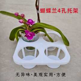 新款蝴蝶托盘托架4孔蝴蝶兰组盆托架白色加厚多肉花盆双色盆托架