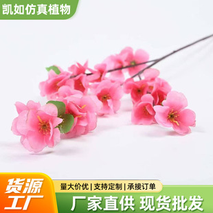 �����һ�֦���һ���÷���ٻ�֦��c�b�����ֲ�����⻨�@���쾰