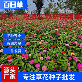 草种子;其他园林资材;筷子