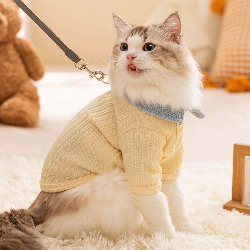 Collar beige adorable cachorro camiseta de base de vaqueros de color gato muñeca de otoño y invierno mascota gato grueso vestido