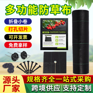 ���ݲ����ݲ����l���R�d�w�ݲ��r�ù��@�����������Ƭ�@ˇ�ز�