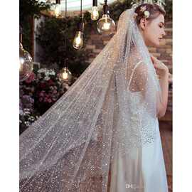 欧美时尚亮片新娘面纱2022剪边双层面纱带头梳长头纱女式婚纱配件