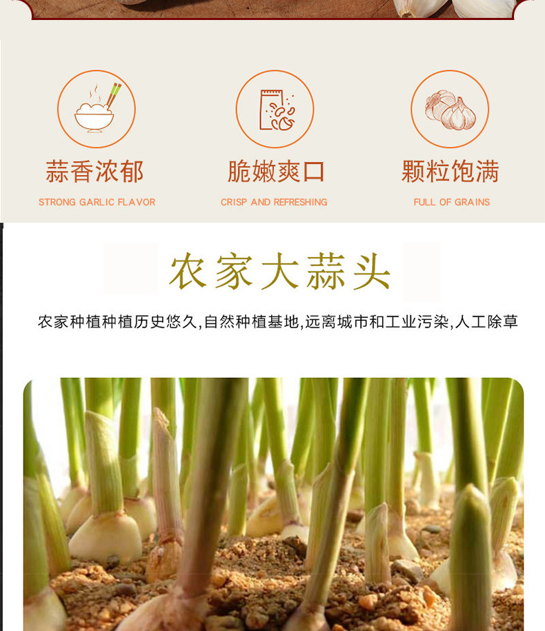 详情_03.jpg