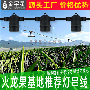 �����ˮһ�w�Nֲ����ֲ���a������r�I����������ջ����������