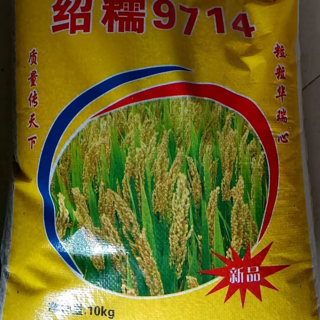 Семена риса Shao Nu 9714, высококачественные новые сорта клейкого риса, обычные семена риса японской породы, высокоурожайные и устойчивые к болезням сеянцы, отобранные на поле.