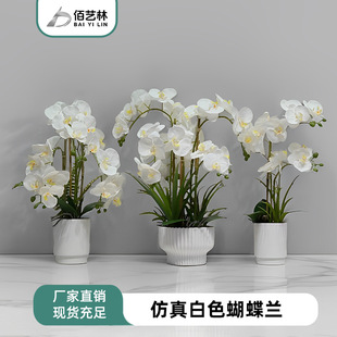 �羳��Ʒ��������m�ҾӲ廨�bƵ��d�����b廨�ֹ����F؛