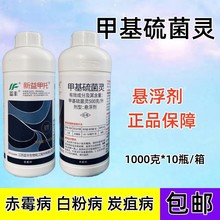 ������� �{�S�׻�����` С��ˮ�����仨�ܳ�ù���׷۲�������