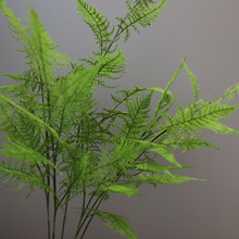 仿真日式天门冬植毛文竹云片松装饰花植绒文竹古风禅意刺蕨草