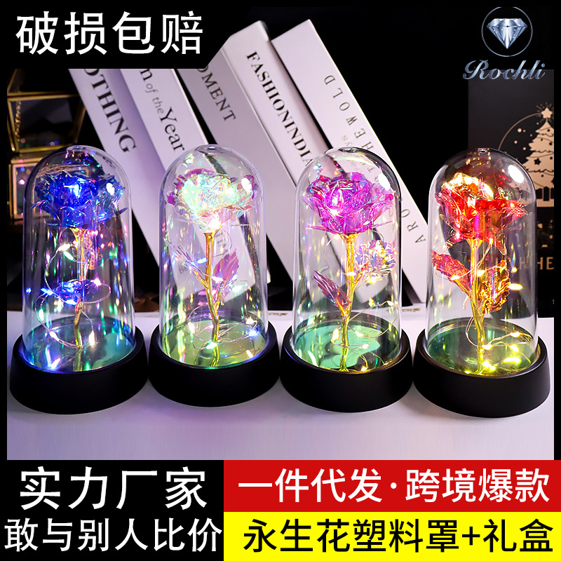 永生花玫瑰花束塑料罩玻璃罩生日礼物送女生女友七夕情人节摆件