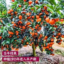 �޽�ɳ�ǽ��Ә���V�����Ә�����ɰ���ֻʵ۸̸����Ϸ��N����Y��