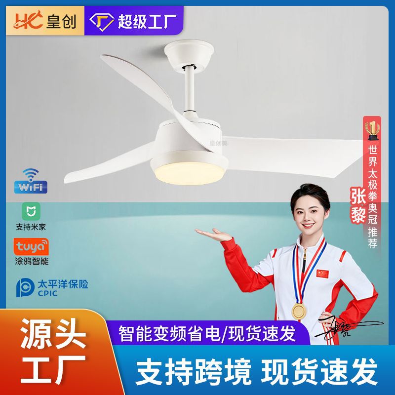 Northern Europe 52 frequency conversion Ceiling fan lamp Simplicity Fan lights household one a chandelier a living room bedroom Restaurant Light belt Fan