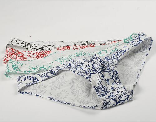 Chinese style teen gay sexy men's low-waist underwear cartoon print new Xinjiang cotton briefs E095