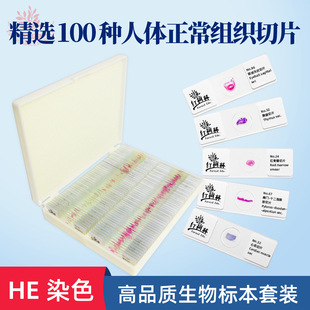 ���w�����M����Ƭ100�N�@������ȡ�����r�@΢�R��Ƭ�t�W�̌W�þ�