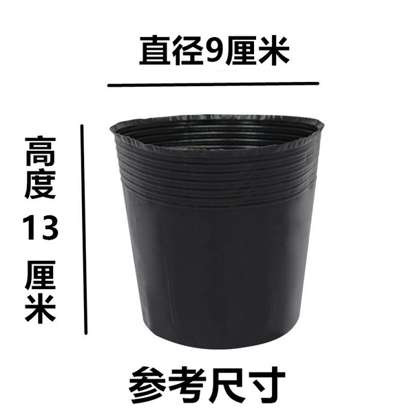 Nutrition Cup Nursery Cup Disposable Black Nutrition Cultivation Bag…