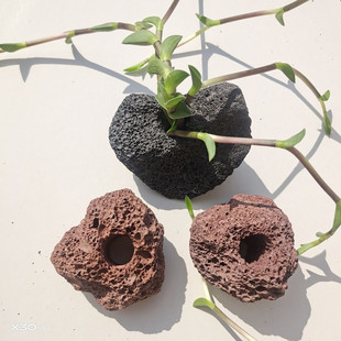 Aquarium Filter Material Volcanic Stone Colonization Ring Water Grass Fixed Ring Fish Tank Landscape Decoration Water Grass Fixed Base Water Grass Stone