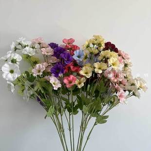�羳���R�d���Ļ�11ɫ����ٻ���c��ˇ��Y�ٻ���ٻ����컨���l