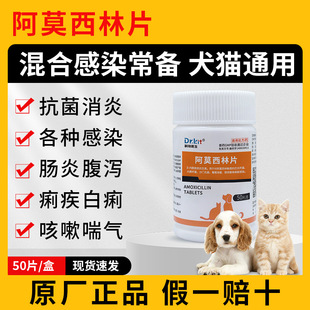�F�ð�Ī����Ƭƿ�b Ȯ؈���ü����Ը�Ⱦ���� �����������cθƤ�w