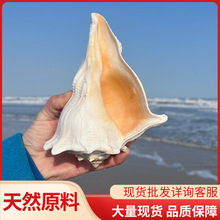 �S��ֱ�N��������Ȼ�����ղؘ˱��ҾӔ[���Ĕz���ߏS�����l