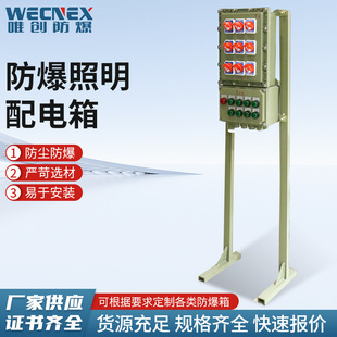 Explosion-proof lighting (power) distribution box Explosion-proof lighting box Explosion-proof positive pressure cabinet Electric box control instrument wiring