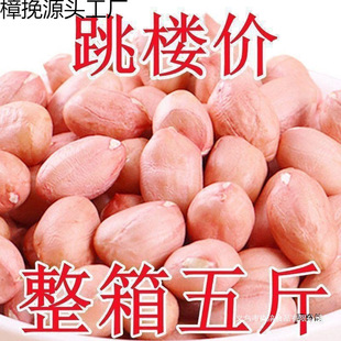 �r���ԷN�»�����5��F���»����׷�Ƥ���r����ե��10���b