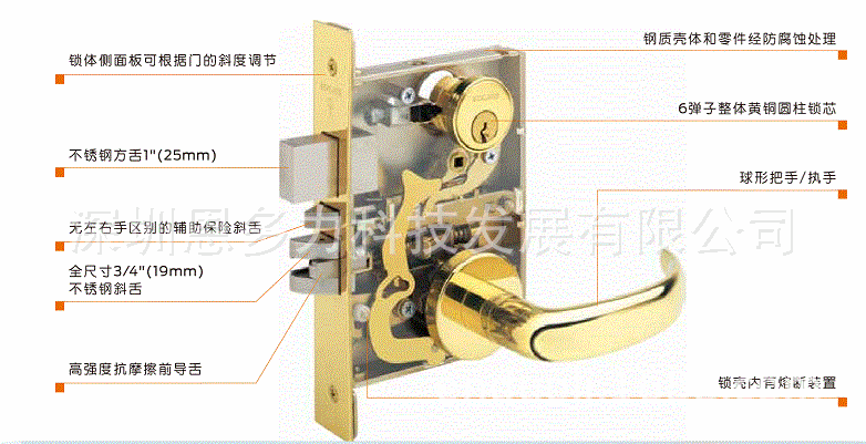 �����ʽܡ�Schlage������L9080EU-RX�綯���������ų�������