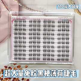 免胶免卸款超大量薄荷绒感氛围睫上眼神采奕奕灵动清透放大双眼