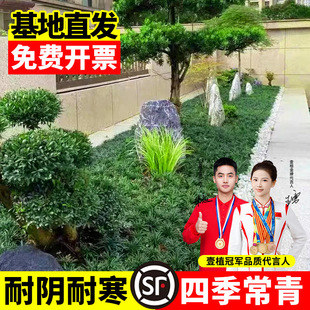 �ձ��������������݄e��ͥԺ�G��䁵�ֲ�：�~��߅�ͺ��͟����