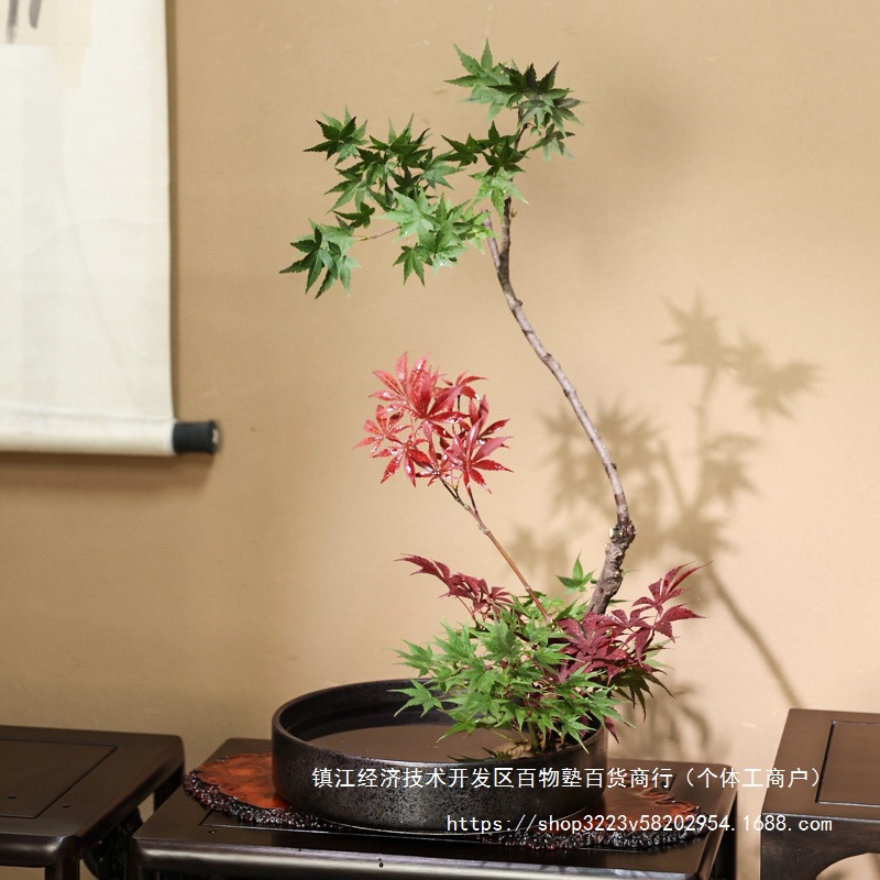 剑山插花器皿陶瓷圆盘花器中式日式禅意小原流插花水盘水培盆花盘