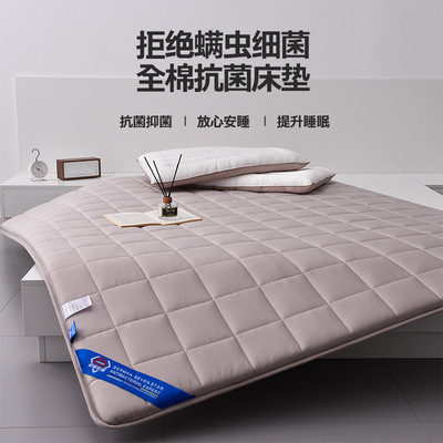 Manufactor Direct selling Antibacterial Cotton Mattress Cushion household Tatami Mat wholesale sponge Mattresses thickening Single