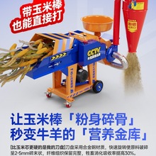 l厲ݙCzһwCСBֳιţ׽նвݷ