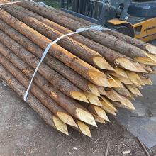 定制规格打桩木多规格杉木建筑工地地基打桩削尖光皮河道护坡木桩