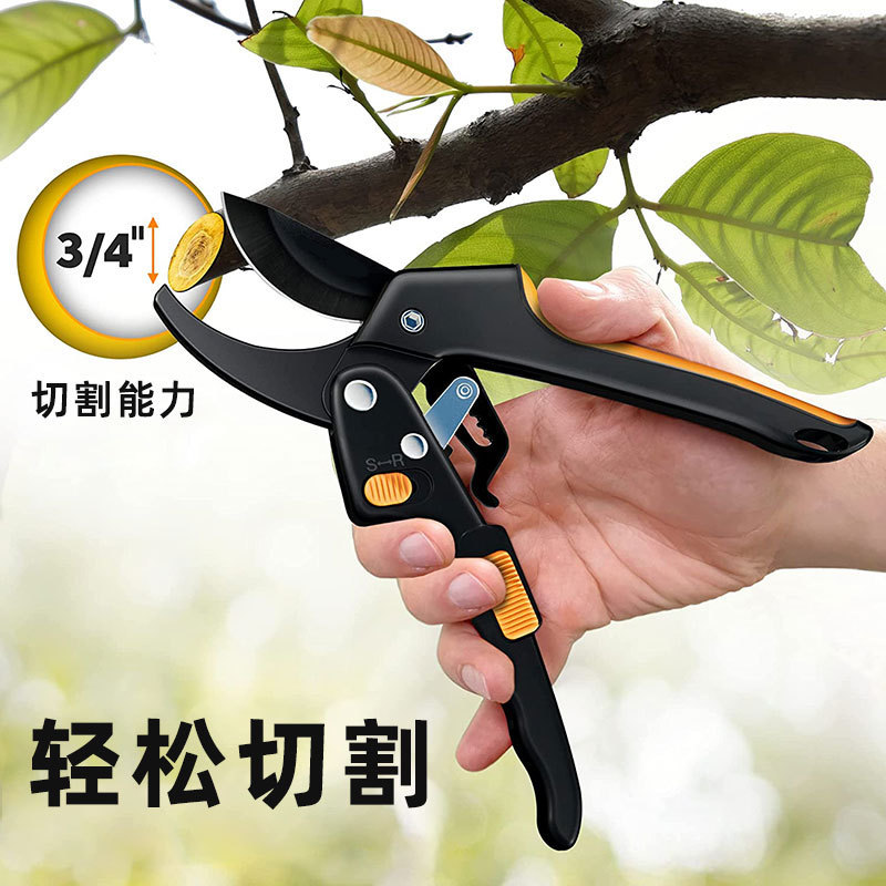 O1CN01iNmbxi1kAXn0YbLvM_!!9836