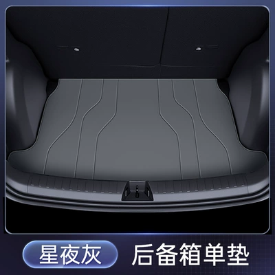 Trunk Mat Mat Fully Surrounded by 2026 - starry-night-gray-trunk-single-mat-euler-52026-2026