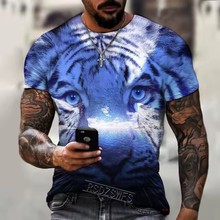 2024�羳���������ʿԲ��T��3D�����ӡ�����ϻ�����ʱ�г���