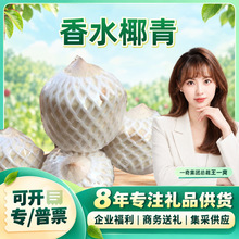 �����x��̩����ˮҬ�� һ�����l2������_Ҭ��֭Ҭ�Ӯ������rˮ��