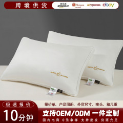 五星酒店120S全棉刺绣枕头纯棉不易塌陷护颈椎枕头枕芯